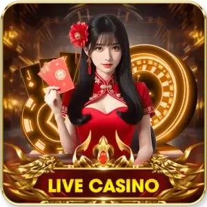 image casino